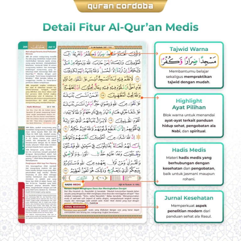 id-11134207-7ra0h-mdph121szp5eed